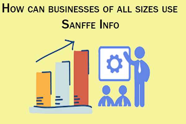 How can businesses of all sizes use Sanffe Info