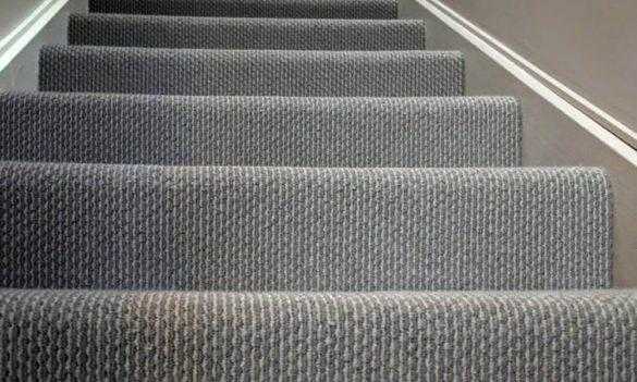 Are Your Staircase Carpets Missing Out on Style Discover the Perfect Design That Elevates Your Home