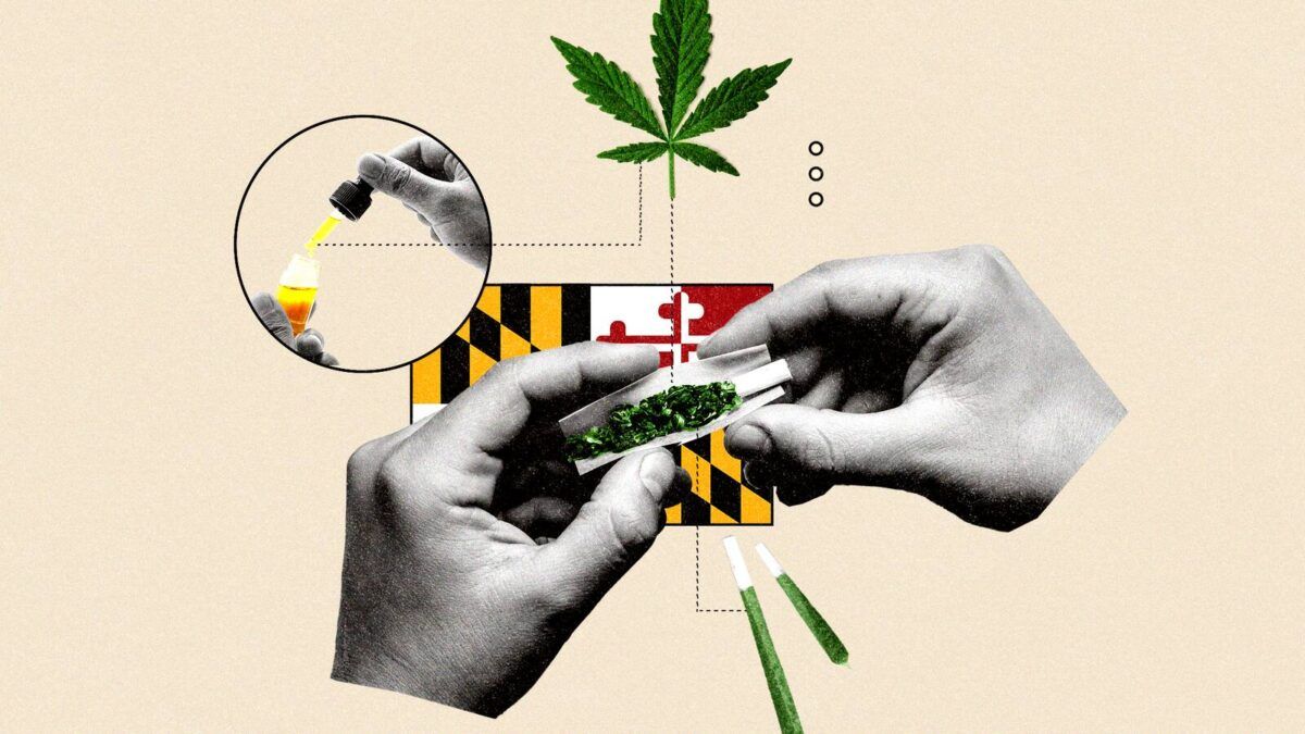Comprehensive Guide to Accessing Legal Cannabis at West Virginia Dispensaries