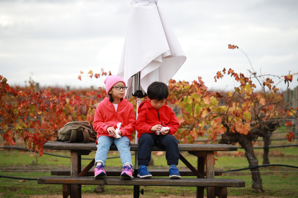 Is the Yarra Valley Actually Kid-Friendly?